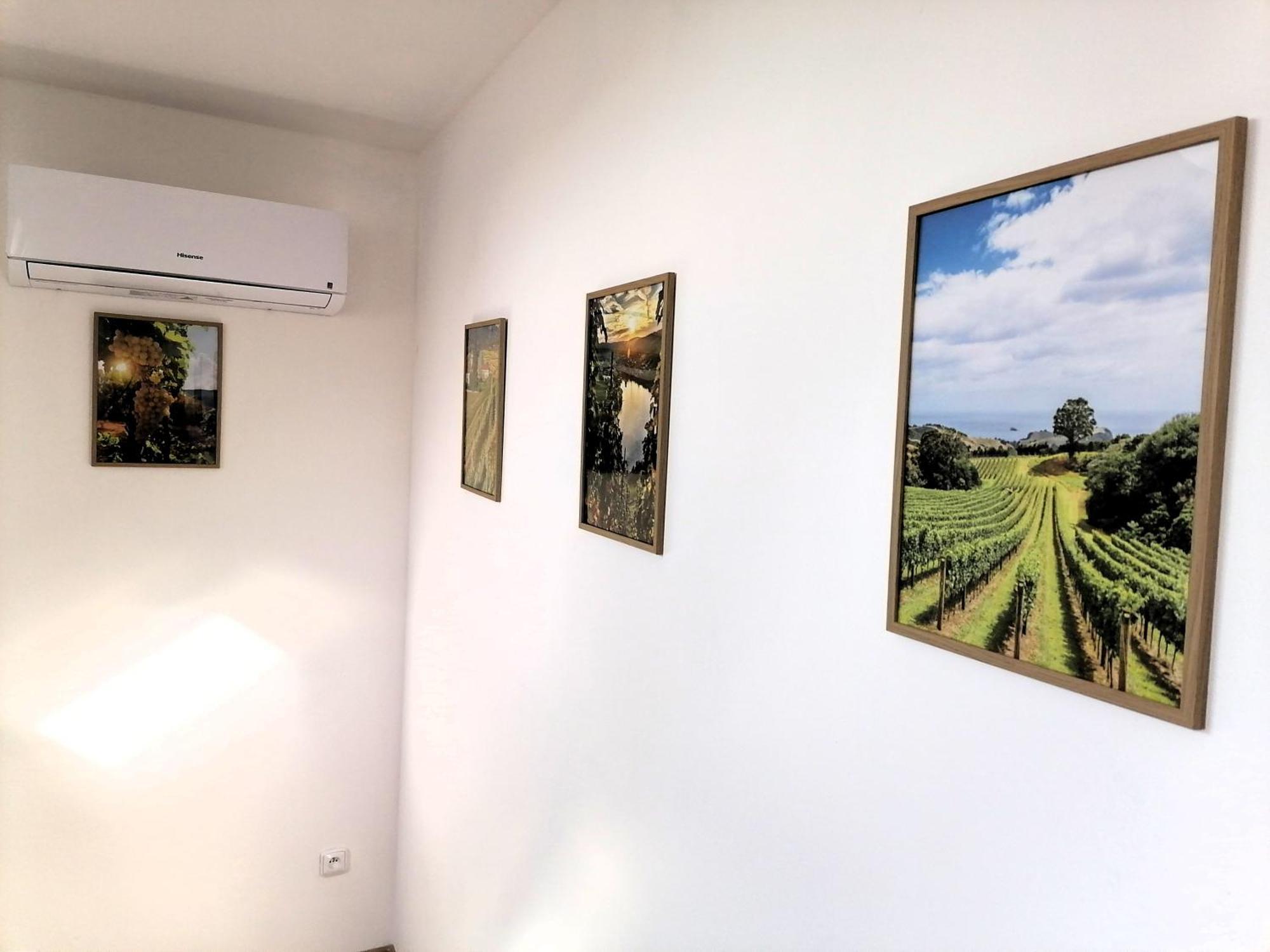Vino Andrusiow Apartment Znojmo Exterior photo